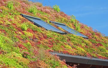 Gollinglith Foot living roof systems