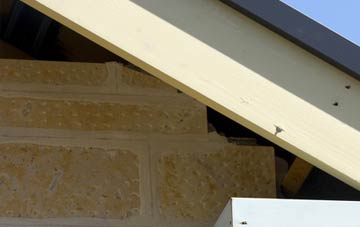 soffit repair Gollinglith Foot